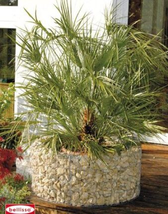 Hochbeet 72/92cm Höhe 40cm