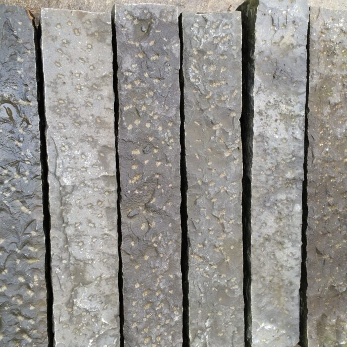 palisaden01_product_product_product Basalt Palisaden